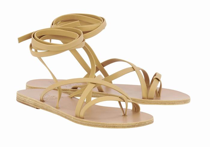 Sandales De Gladiateur Ancient Greek Sandals Morfi Leather   | TNF-8222136